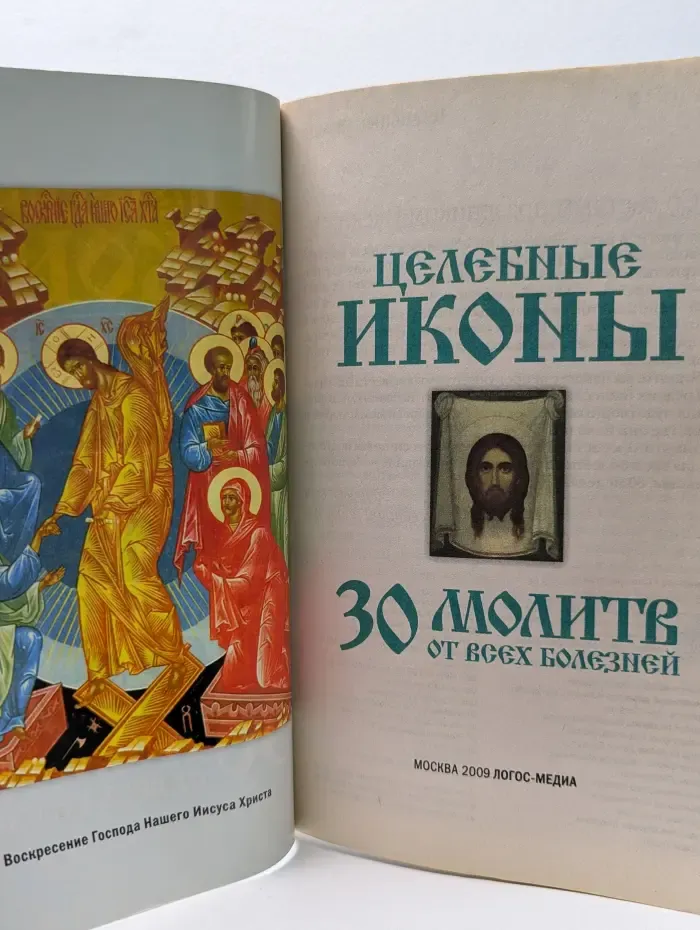 Целебные иконы. 30 молитв от всех болезней