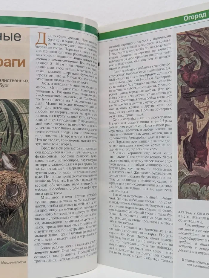 Сад и Огород. Выпуск № 7/2004