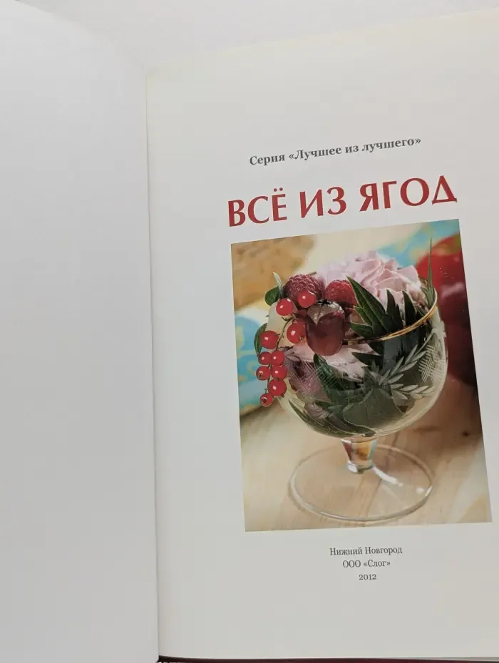 Лучшее из лучшего. Все из ягод