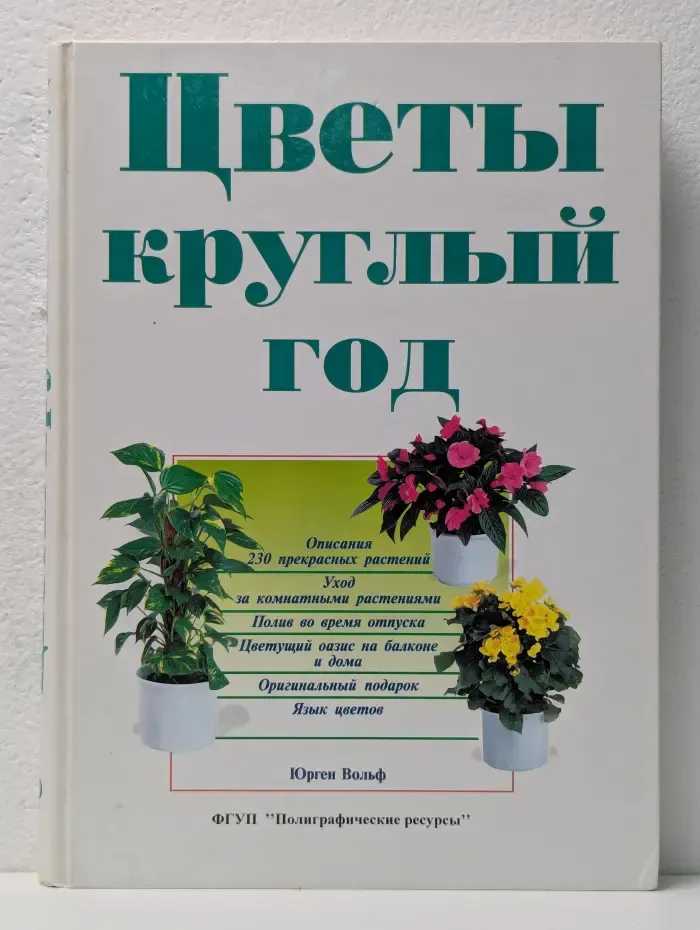 Цветы круглый год