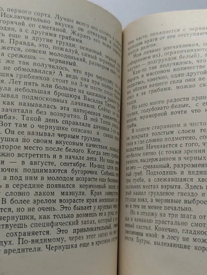 По грибы. Заметки фенолога