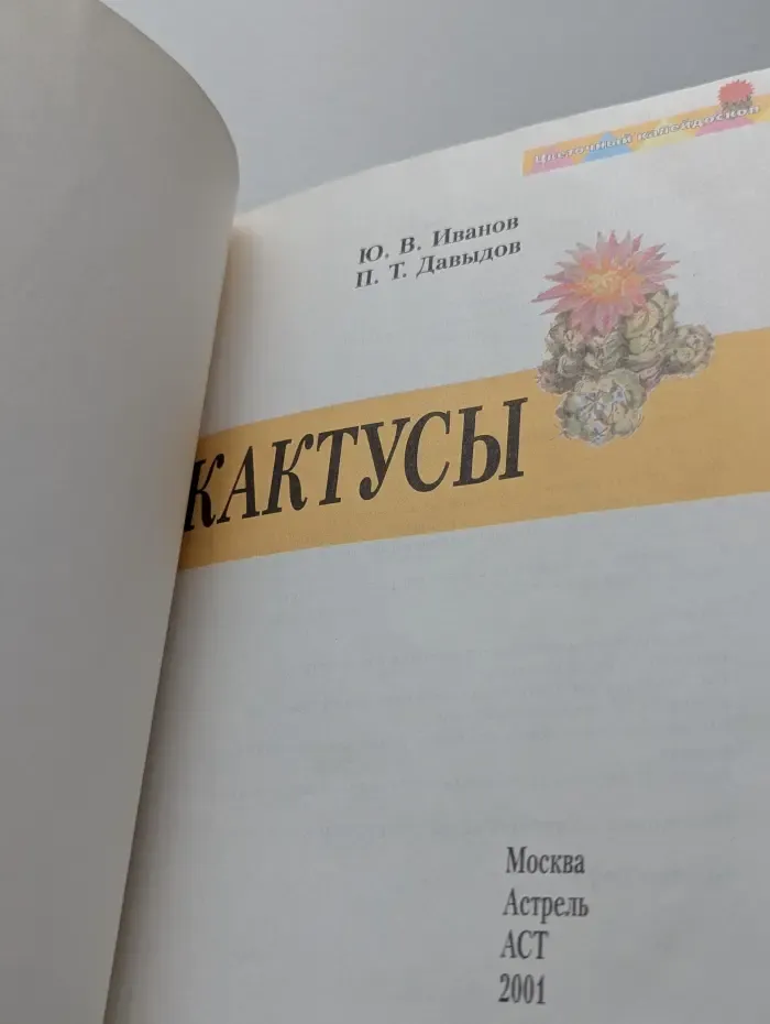 Кактусы