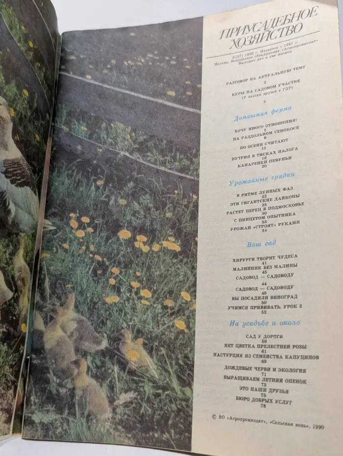 Приусадебное хозяйство. Выпуск № 3/1990