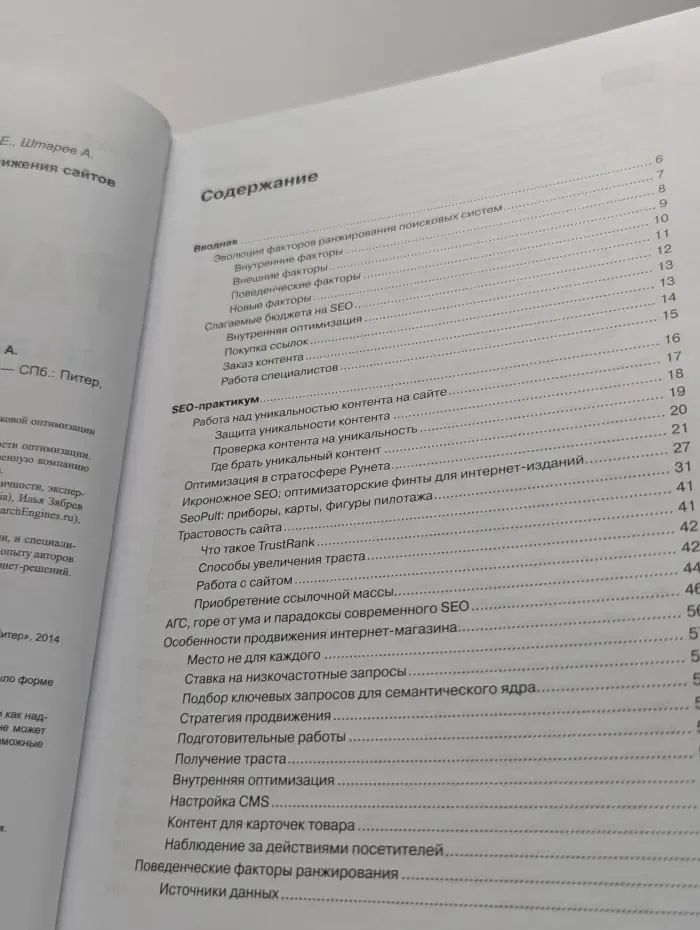 Раскрутка. Секреты эффективного продвижения сайтов