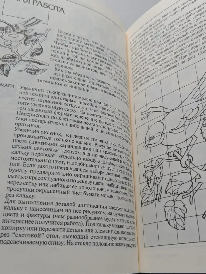 Аппликации из природных материалов