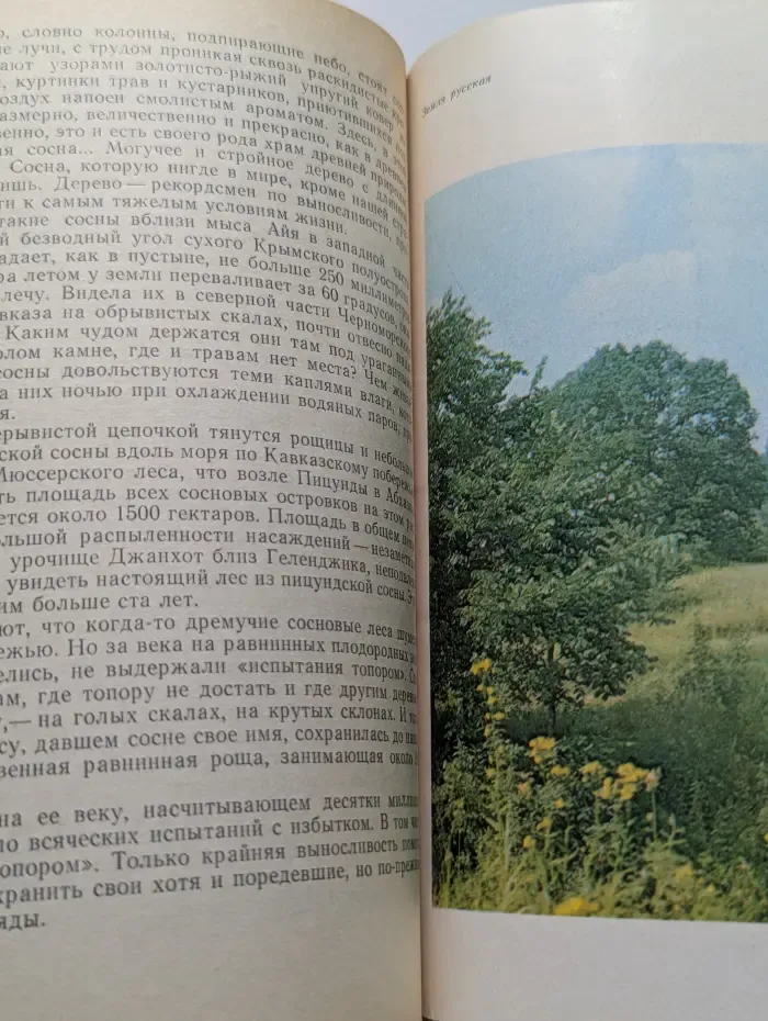 Ускользающие жемчужины