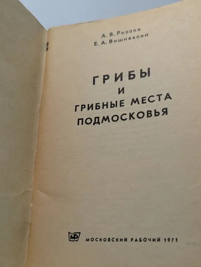 Грибы и грибные места подмосковья