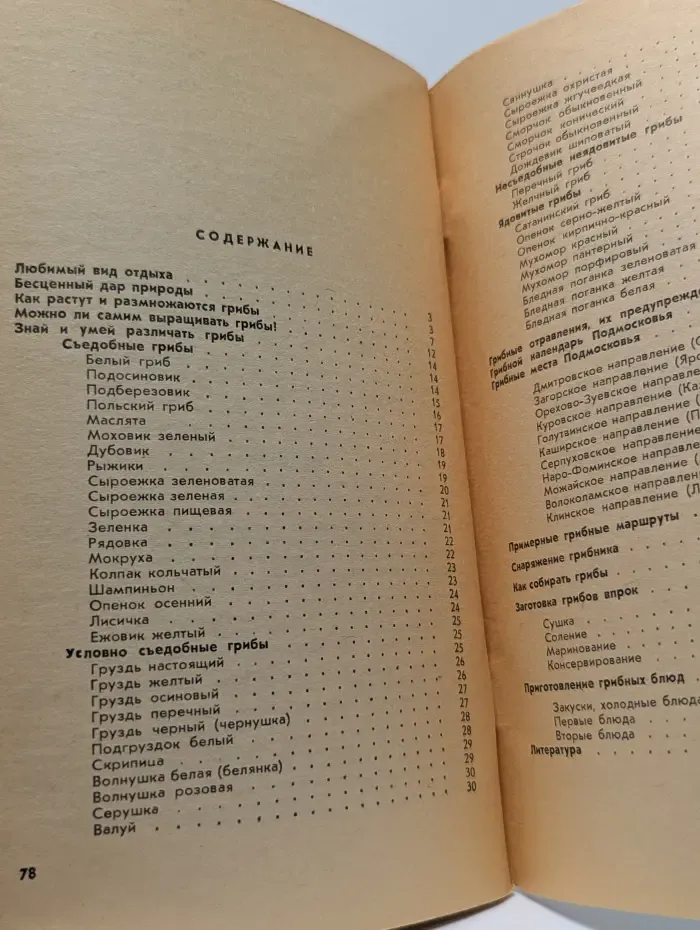 Грибы и грибные места подмосковья
