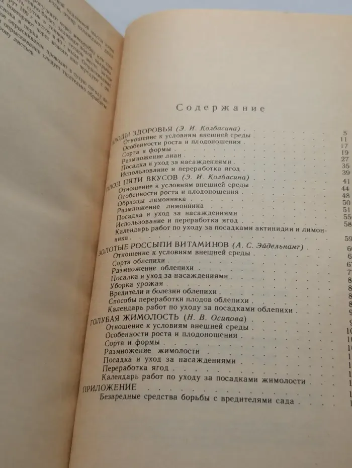 Лесные незнакомцы в нашем саду
