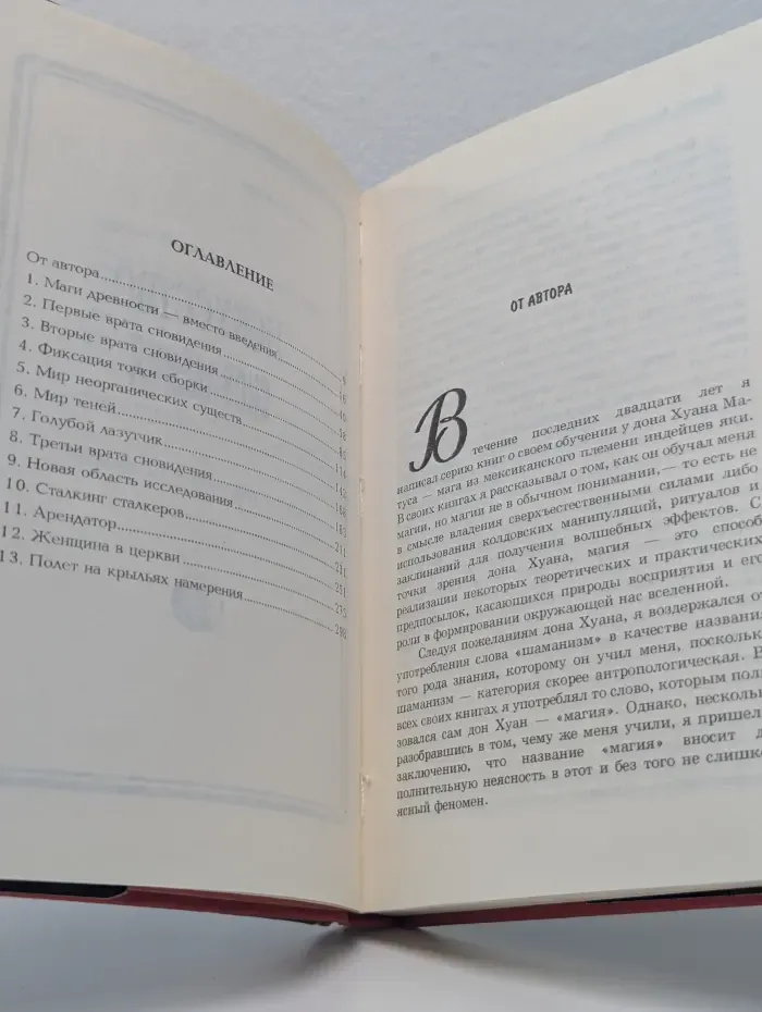 Искусство сновидения. Книга 9