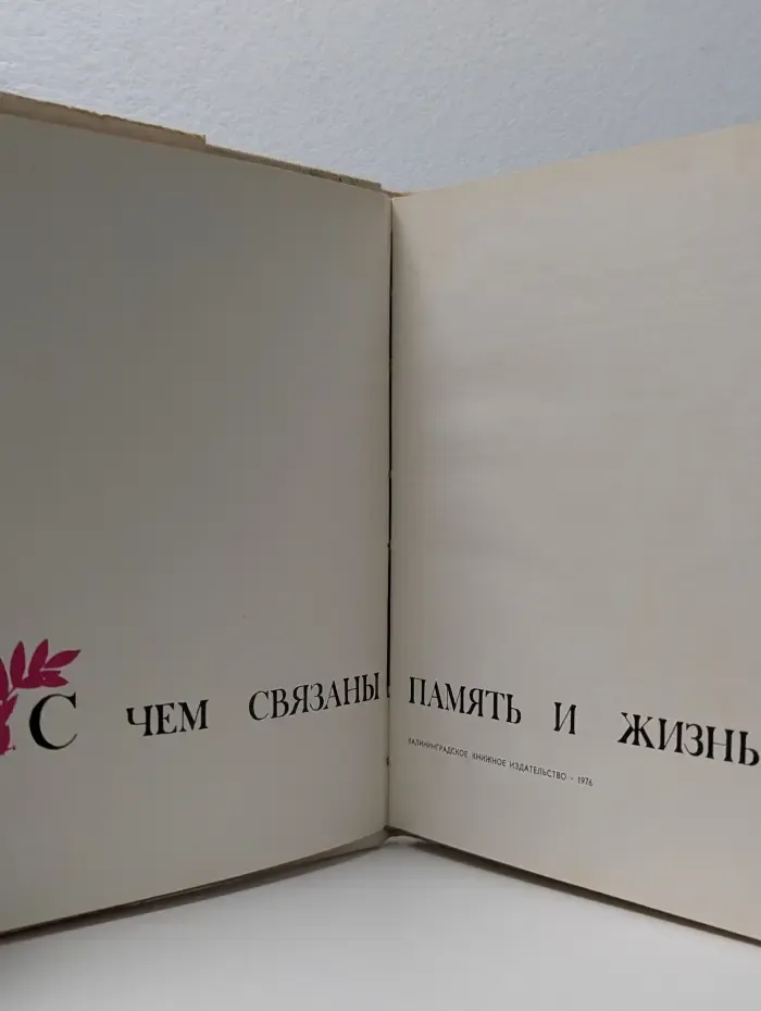 С чем связаны память и жизнь