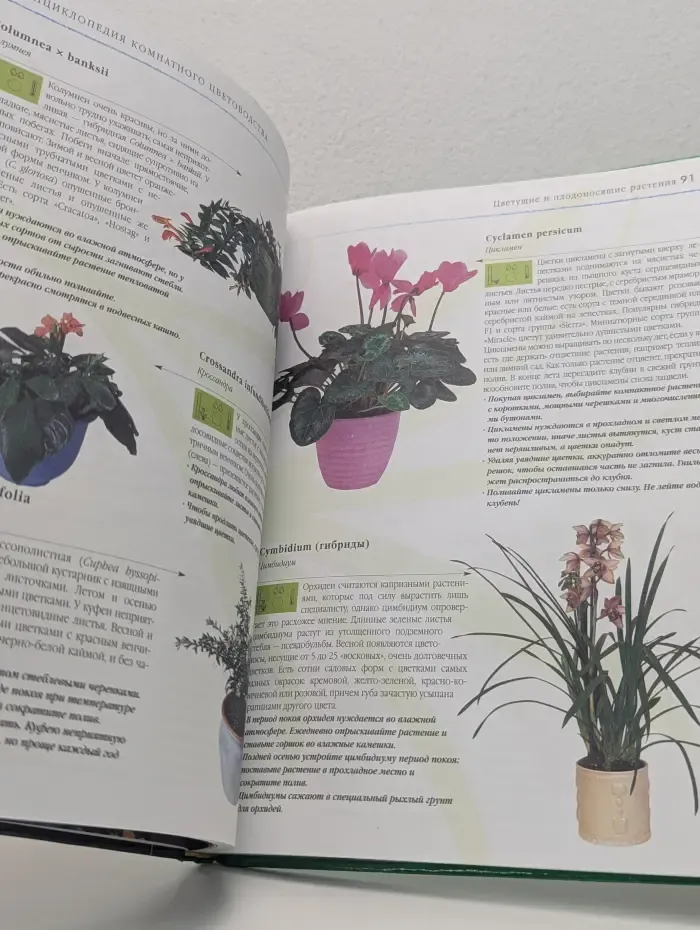 Энциклопедия комнатного цветоводства