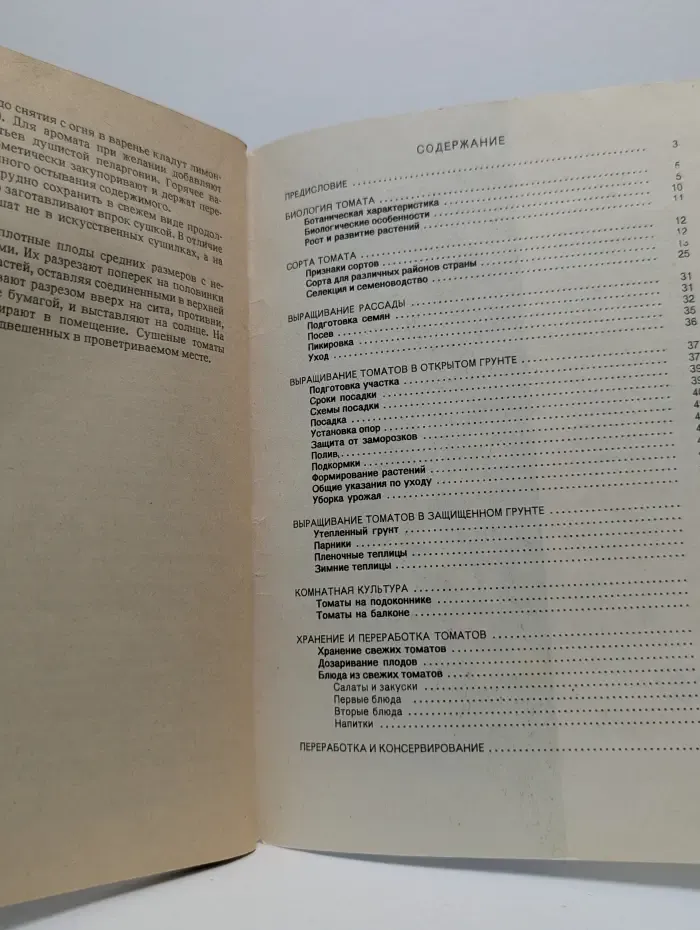 Приусадебное хозяйство. Томаты круглый год