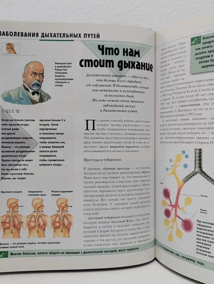 AXIS. Энциклопедия Естествознание