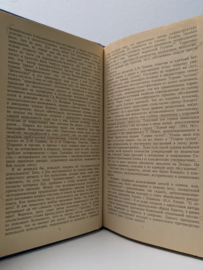 Теория густот. Опыт христианской философии конца XX века