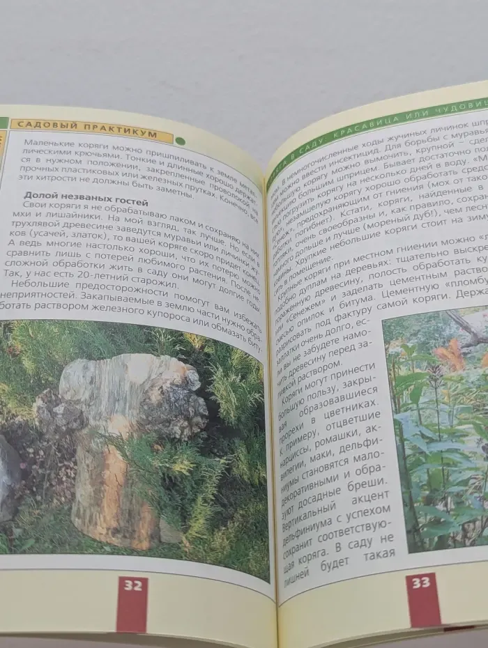 Новый садовый практикум. Дизайн дачного участка