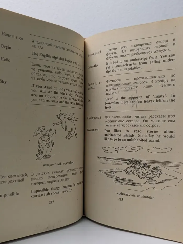 Детский русско-английский словарь в картинках