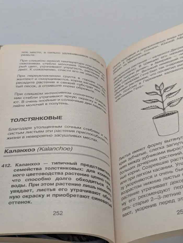 Мой дом. Мир комнатных растений