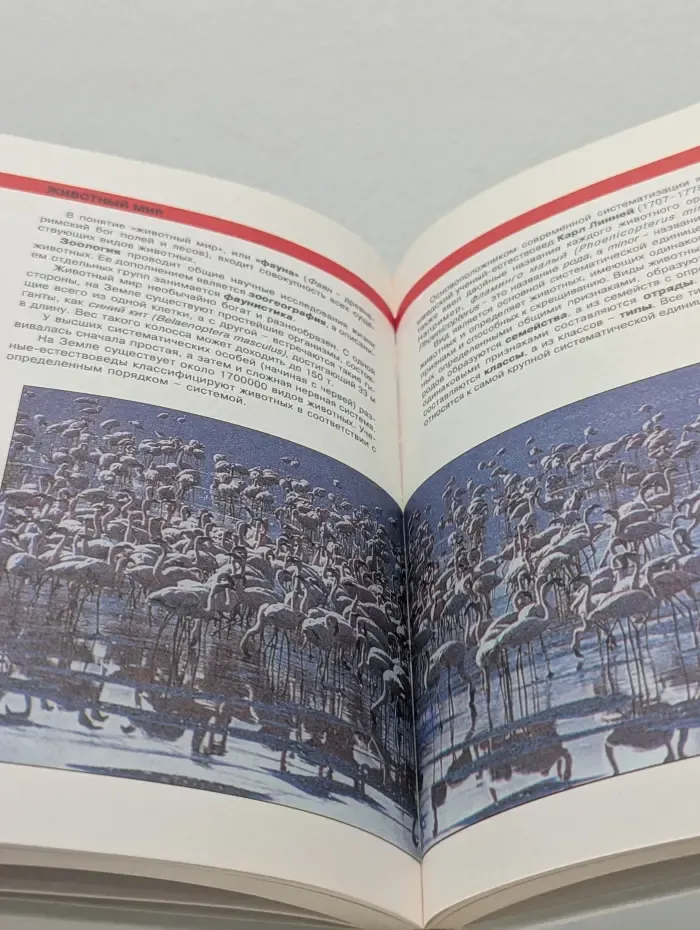 Рекорды Земли. Живая природа