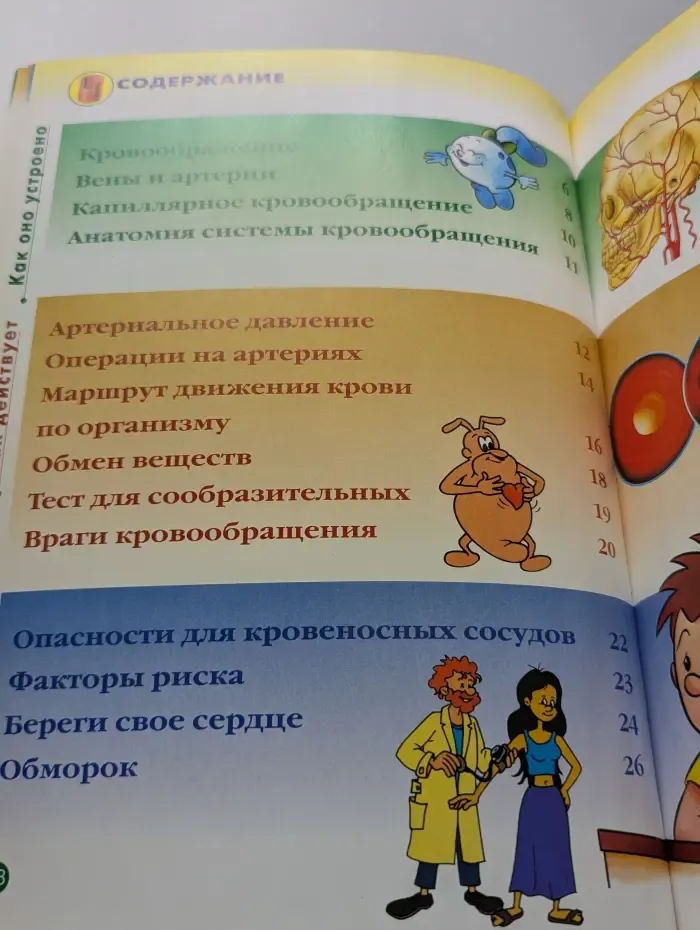 Как устроено тело человека. Выпуск № 2/2007. Кровообращение
