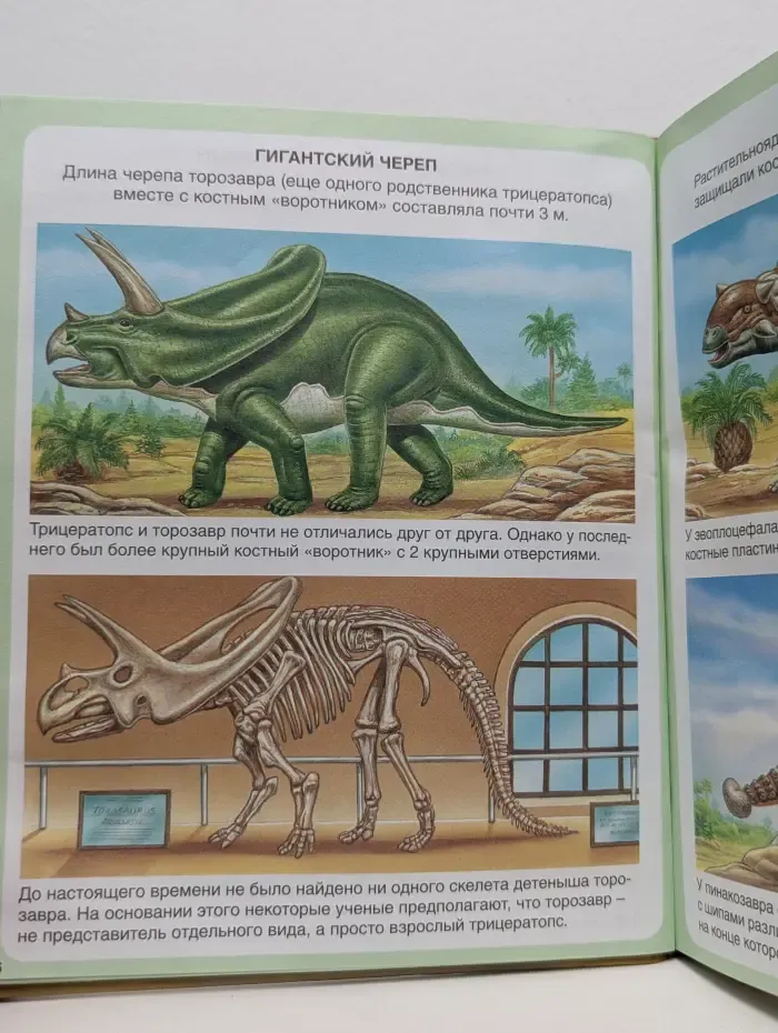 Твоя первая энциклопедия. Миллион лет до нашей эры