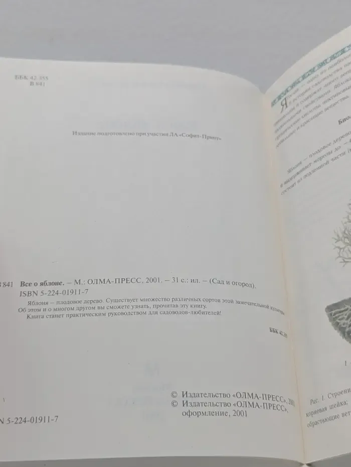 Все о яблоне