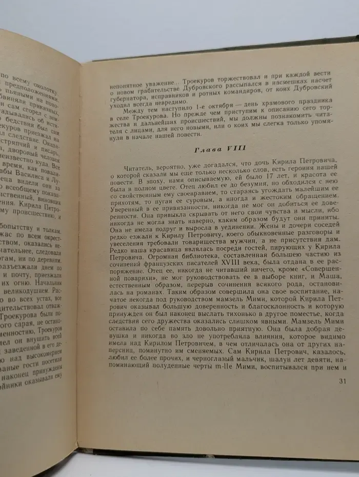 Школьная библиотека. Дубровский