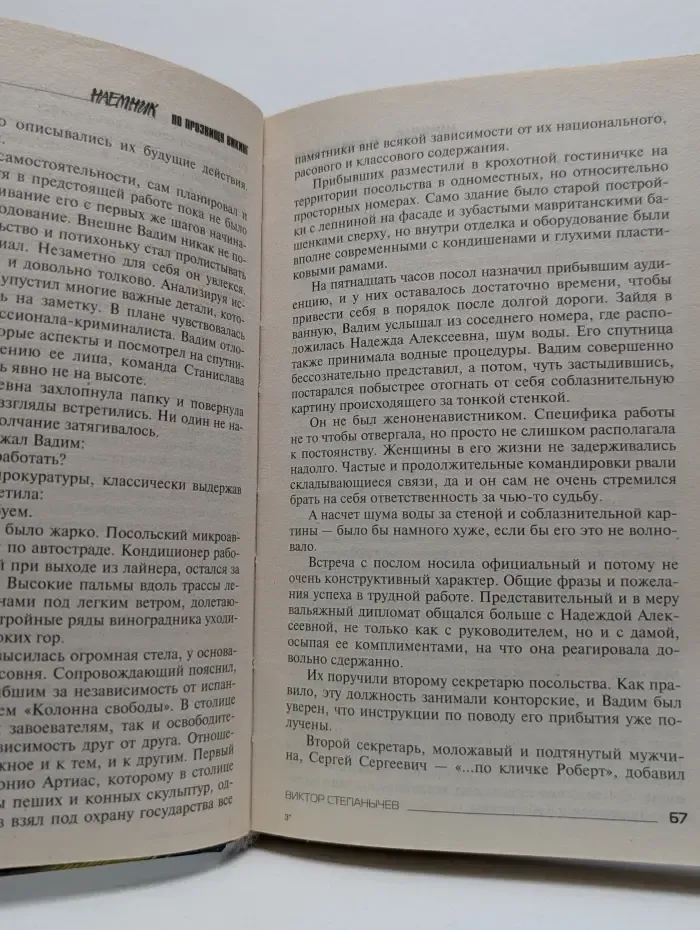 Наемник. По прозвищу Викинг