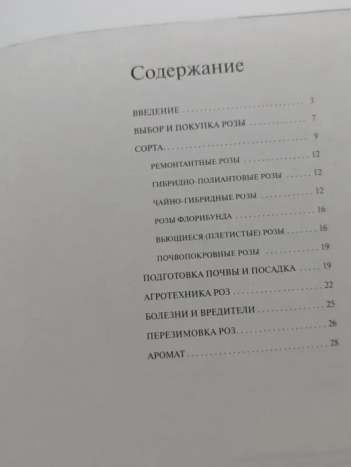 Розы
