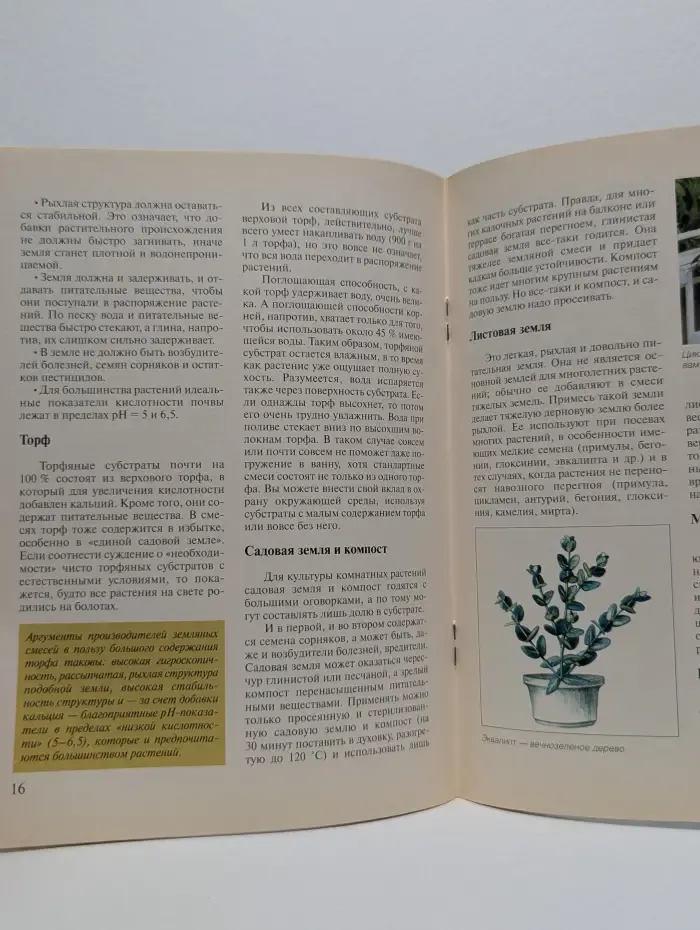 Райский сад. Уход за комнатными растениями