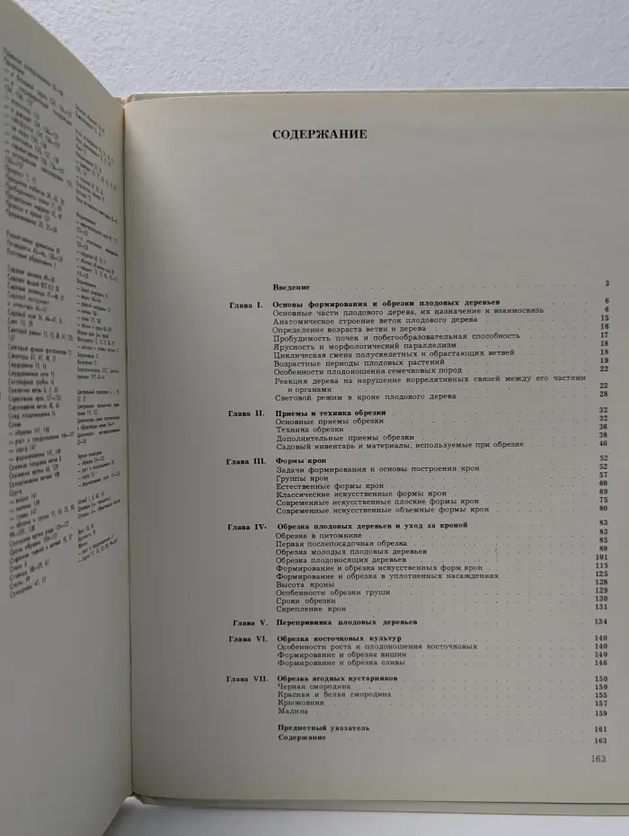Формирование и обрезка плодовых деревьев