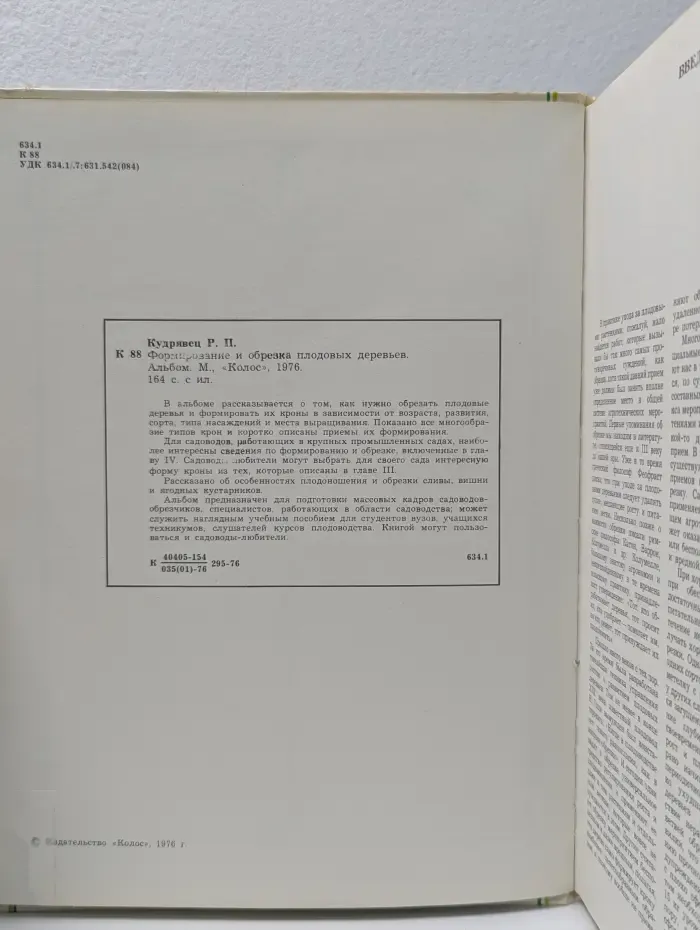 Формирование и обрезка плодовых деревьев