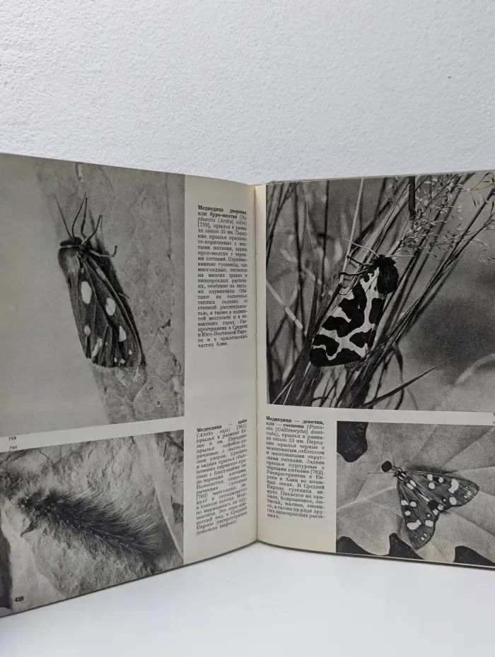 Иллюстрированная энциклопедия насекомых