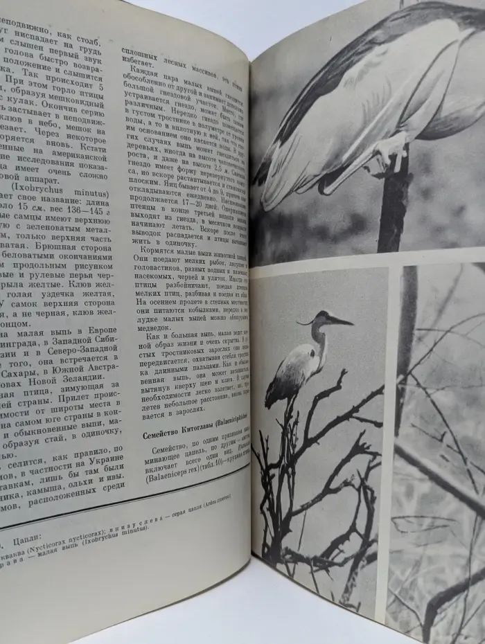 Жизнь животных в 7 томах. Том 5. Птицы