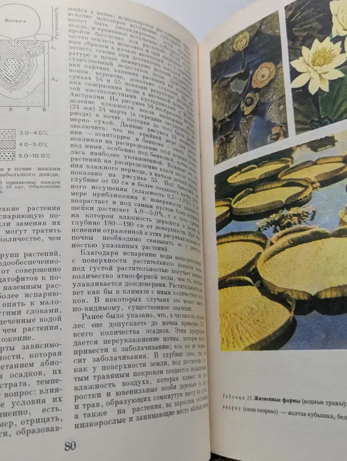 Жизнь растений. Энциклопедия в шести томах. Том 1. Введение. Бактерии и актиномицеты