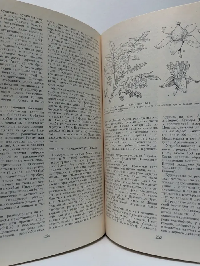 Жизнь растений. Энциклопедия в шести томах. Том 5. Часть 2. Цветковые растения