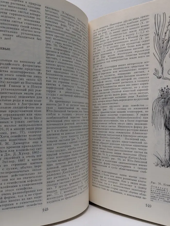Жизнь растений. Том 6. Цветковые растения