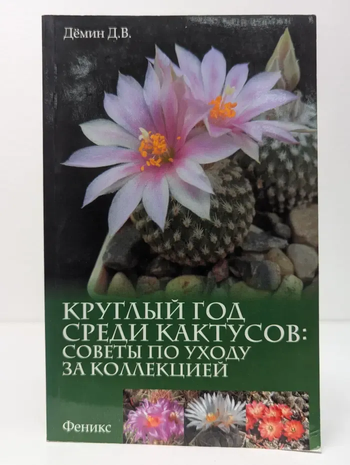 Круглый год среди кактусов. Советы по уходу за коллекцией