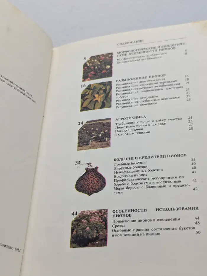 Пионы. Альбом - справочник