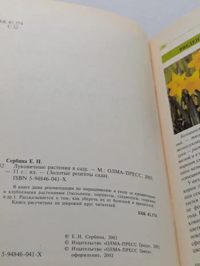 Золотые рецепты сада. Луковичные растения в саду