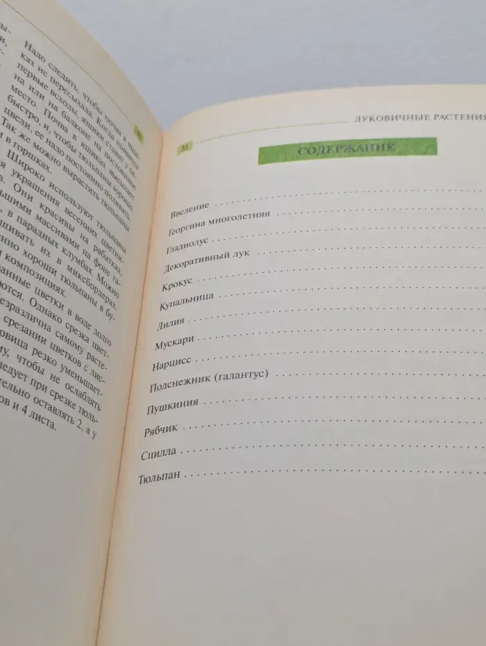Золотые рецепты сада. Луковичные растения в саду