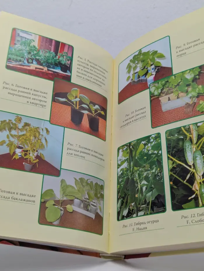 Все о выращивании ранних овощей, фруктов и цветов