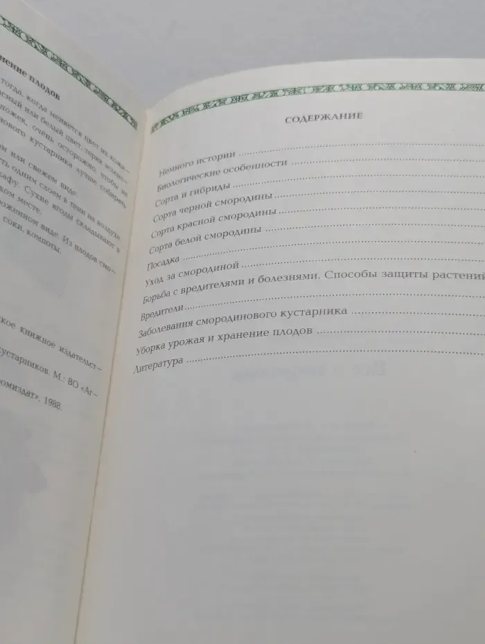 Сад и огород. Все о смородине