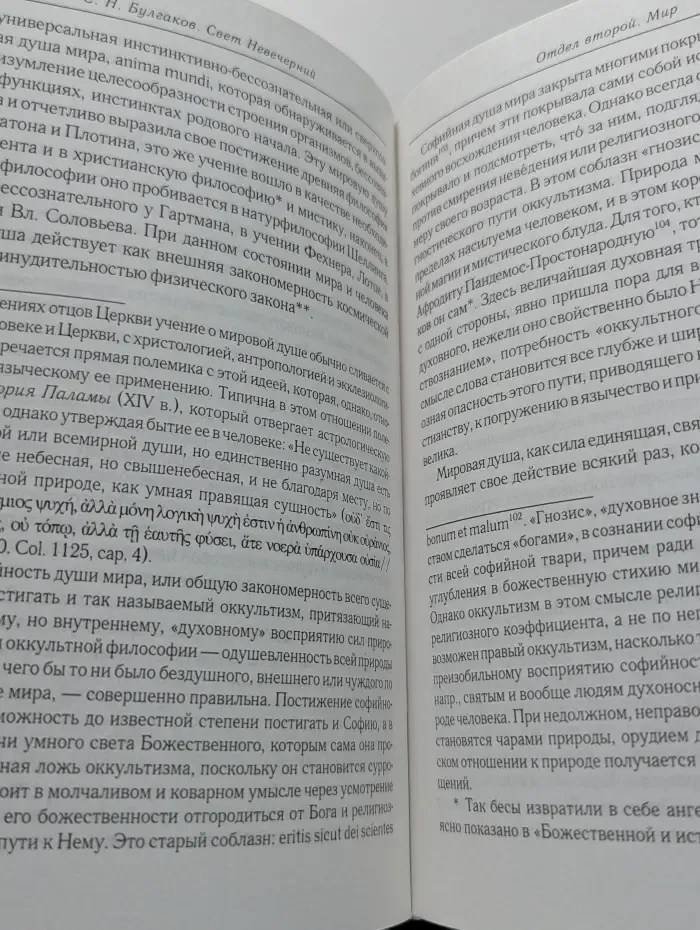 Свет Невечерний. Созерцания и Умо-зрения