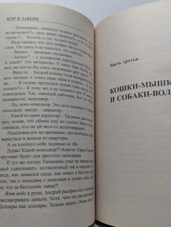 Воровской закон. Мэр в законе