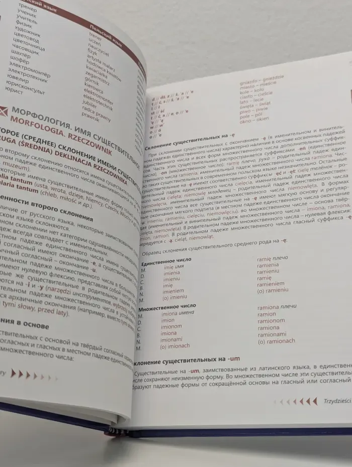 Польский язык. Самоучитель