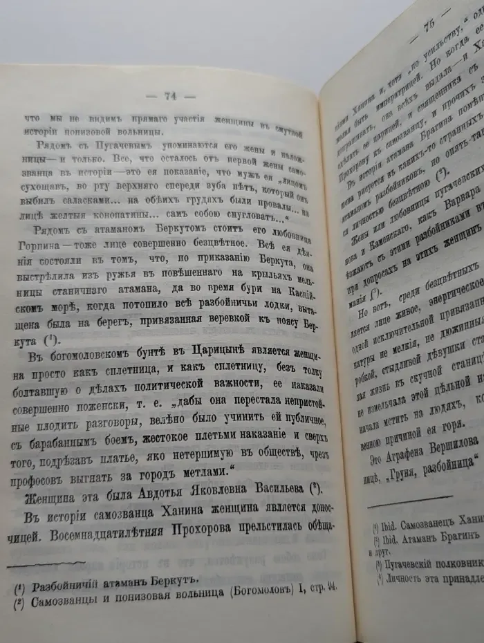 Разбойники России