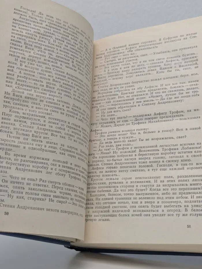 Человек труда. Пряслины