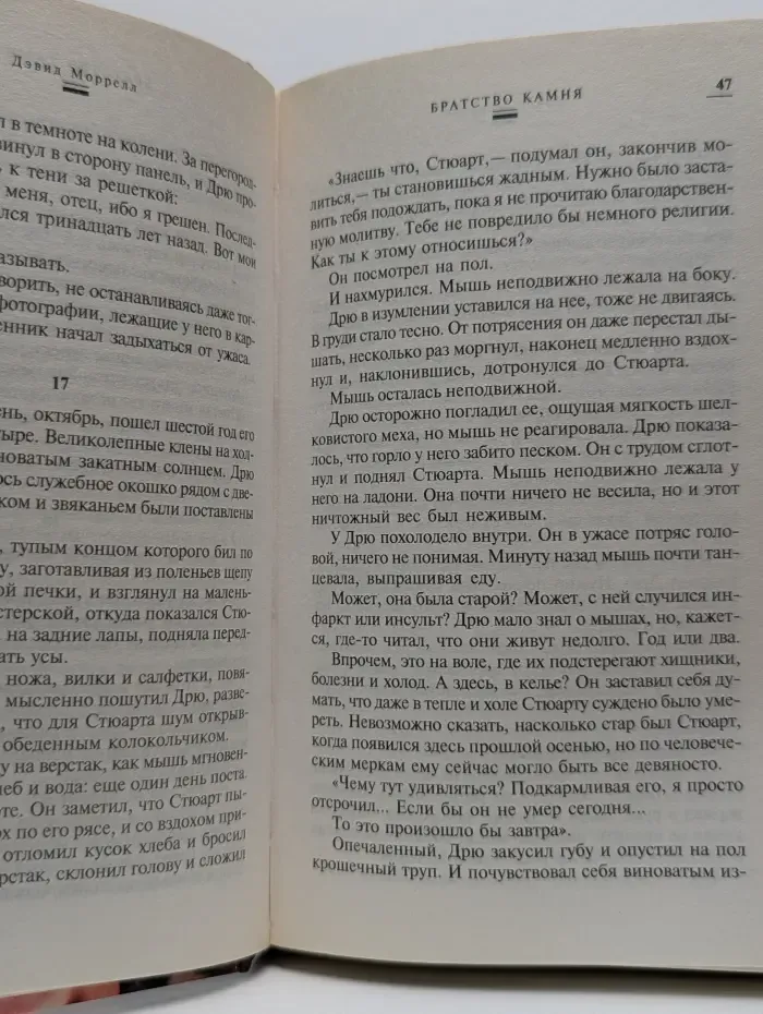 Mystery Line. Братство камня