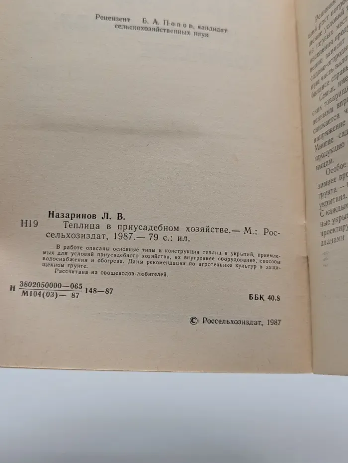 Теплица в приусадебном хозяйстве